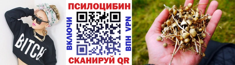 Галлюциногенные грибы GOLDEN TEACHER  как найти наркотики  Буинск 